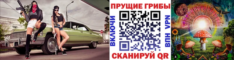 Галлюциногенные грибы MAGIC MUSHROOMS  что такое   Всеволожск 